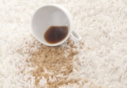 Professional Carpet Cleaning service